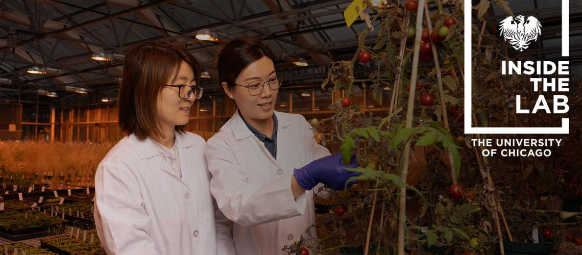 Chuan He Group Featured in new UChicago News series, "Inside the Lab" 