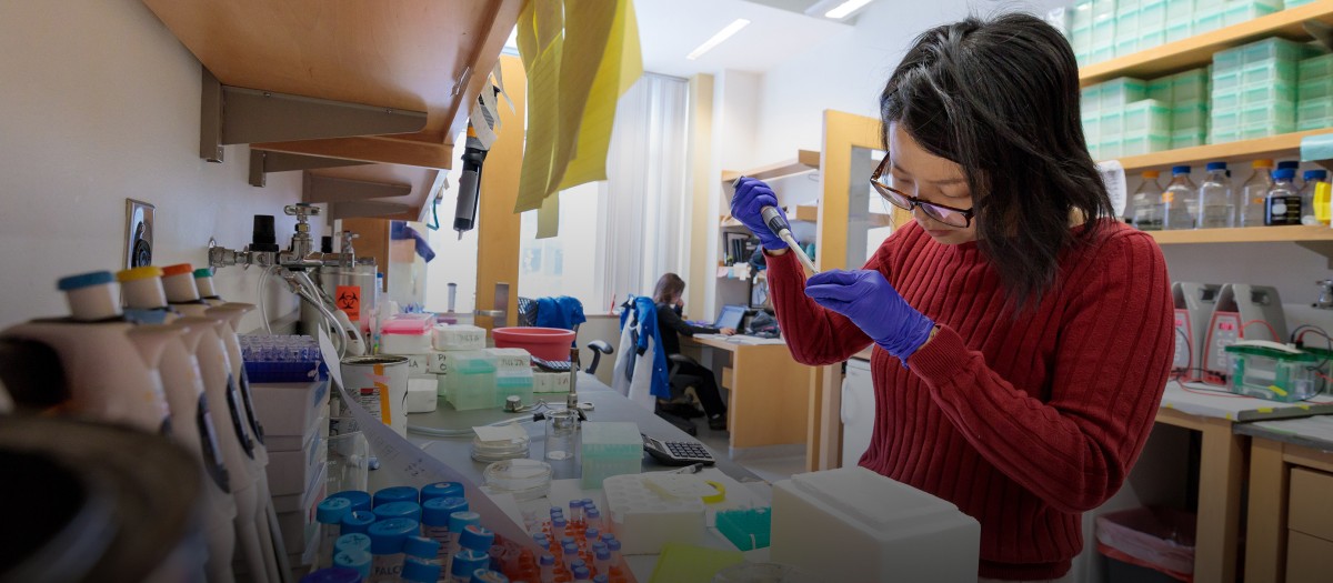 Image of a researcher working in the Dickinson lab