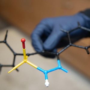levinlabarticle