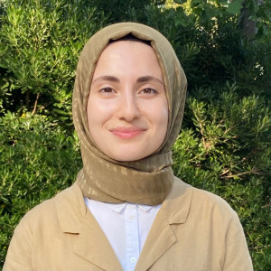 Predictive “mismatch” leads to carbon capture breakthrough